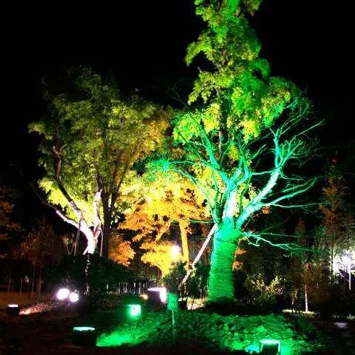 exterior led spot lights for tree