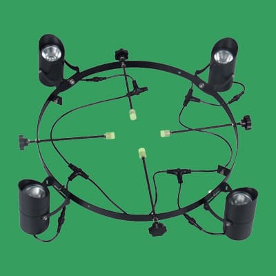 Palm Tree Lights Outdoor