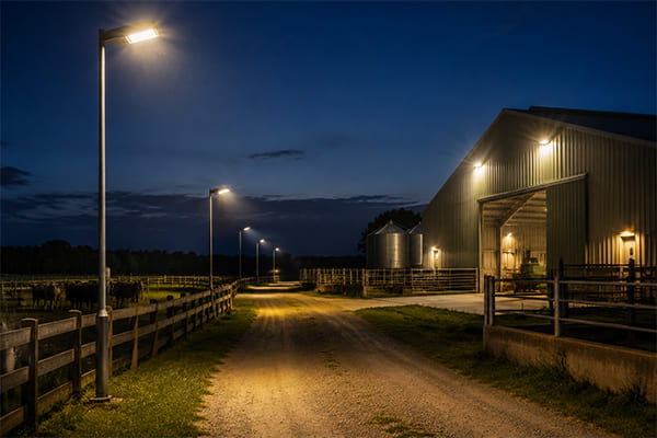 Agricultural & Rural