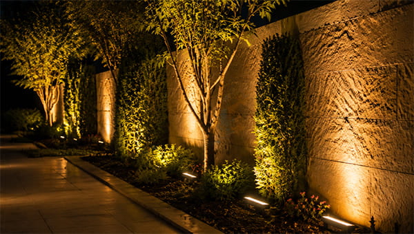 Landscape accent lighting effect